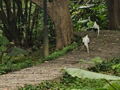 -福建鲤鱼洲酒店