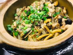 -红星光发煲仔饭(大石街店)
