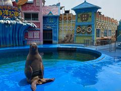 -华夏文旅海洋公园