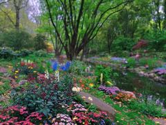 -上海共青森林公园