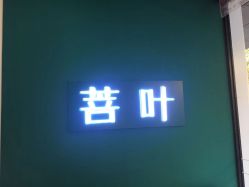 -菩叶脱发白发中心