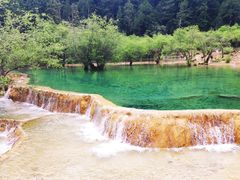 -黄龙山原始森林景区
