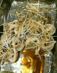 -胶东海鲜大排档(北太平庄店)