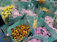 -循礼门鲜花花市(武汉循礼门店)