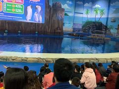 -华夏文旅海洋公园