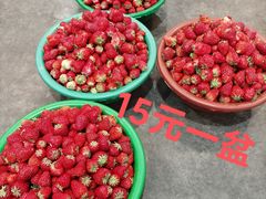 -西郊国际农产品交易中心