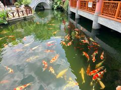 -香麒园·过桥米线·南湖雅宴