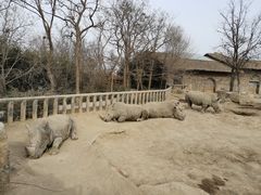 -济南野生动物世界