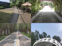 -同里国家湿地公园