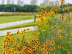 -白塘生态植物园