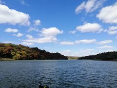 -大青沟风景区