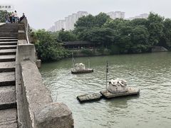 -运河游船(武林门码头)