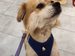 -麦当劳(万达广场店)