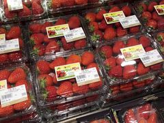 -乐天免税店(明洞店)