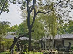 -南山植物园