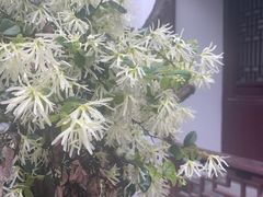 -苏州文旅花间堂·探花府酒店