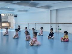 -西安小天鹅艺术团(曲江Alice店)