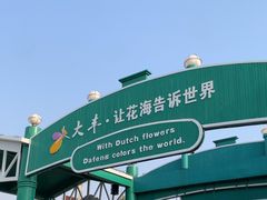 -荷兰花海