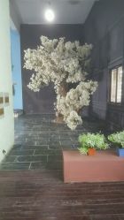 -完美新娘婚纱摄影