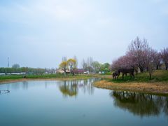 -圣露庄园·露营·烤肉·亲子