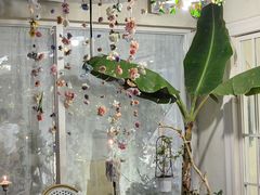 -秀儿家の小确幸花园西餐厅