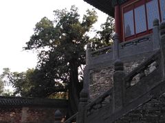 -中岳庙