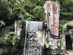 -广州市流溪河国家森林公园