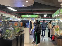 -宠物世家(仲盛世界商城店)