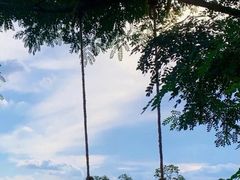 -白鹭湾湿地公园