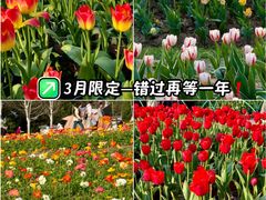 -花博汇(知音花月夜)