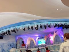 -帝企鹅自助餐厅•儿童岛•真企鹅(长隆企鹅酒店)