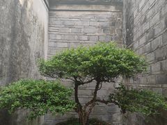 -天一阁博物院