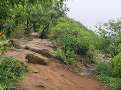 -灵岩山风景区