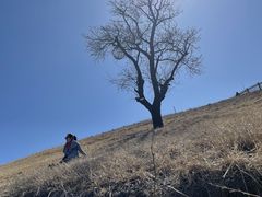 -潭柘厚院(桑峪村店)