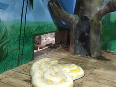 -石家庄市动物园