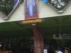 -绿光森林餐厅