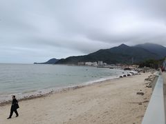 -杨梅坑
