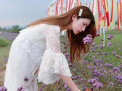 -北京东方普罗旺斯薰衣草庄园