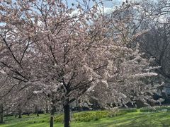 -维多利亚火车站