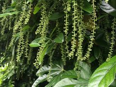 -贵阳市花溪国家城市湿地公园