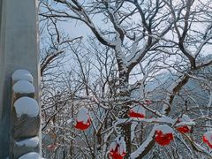-石岛赤山风景区