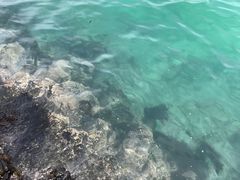 -咸德海水浴场