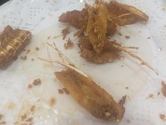 -源港渔村-中山脆肉鲩(博罗店)