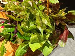 -一朵菌·野生菌探索家火锅(南亚店)
