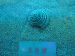 -哈尔滨极地公园
