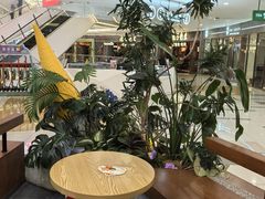 -野人先生Gelato(上海长宁龙之梦店)