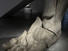 -上海油画雕塑院