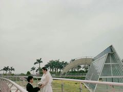 -百万葵园