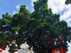 -荔湾湖公园