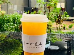 -一叶觅山(半边街店)